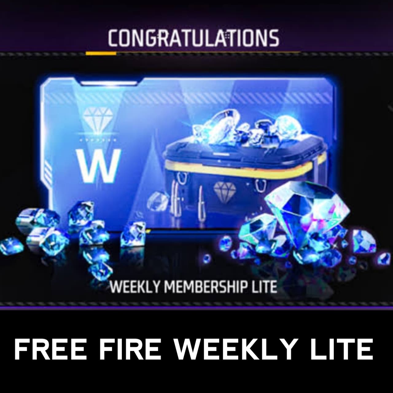 Weekly LITE 🎫